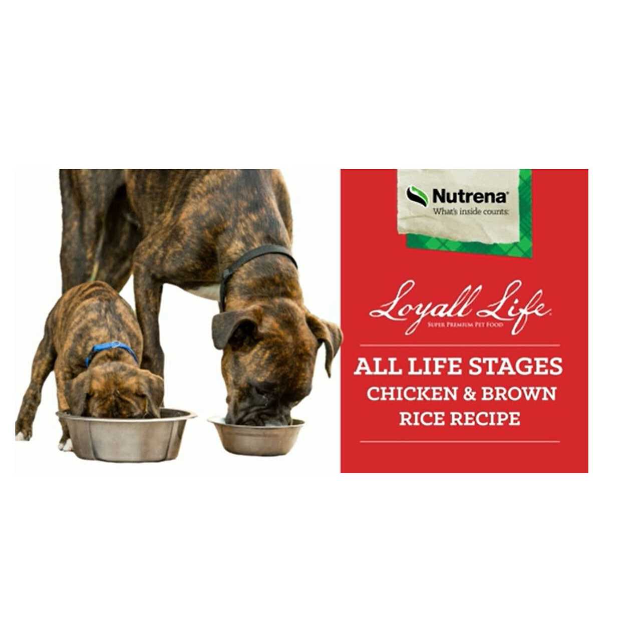 Loyall Life All Life Stages Chicken Brown Rice Dog Food