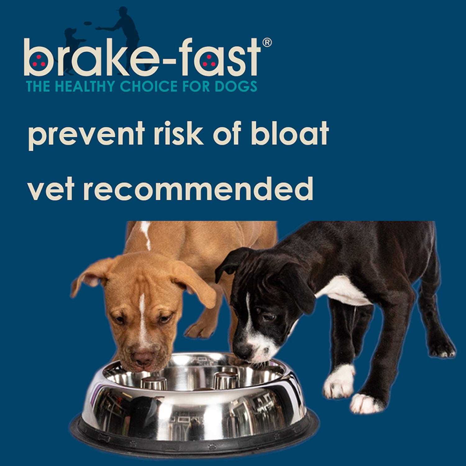 Qt Dog Stainless Steel Brake-Fast Bowl