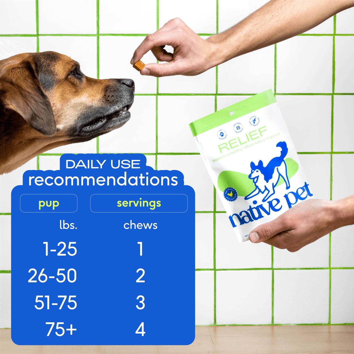 Native Pet Anti Inflammatory Supplement & Dog Joint Relief