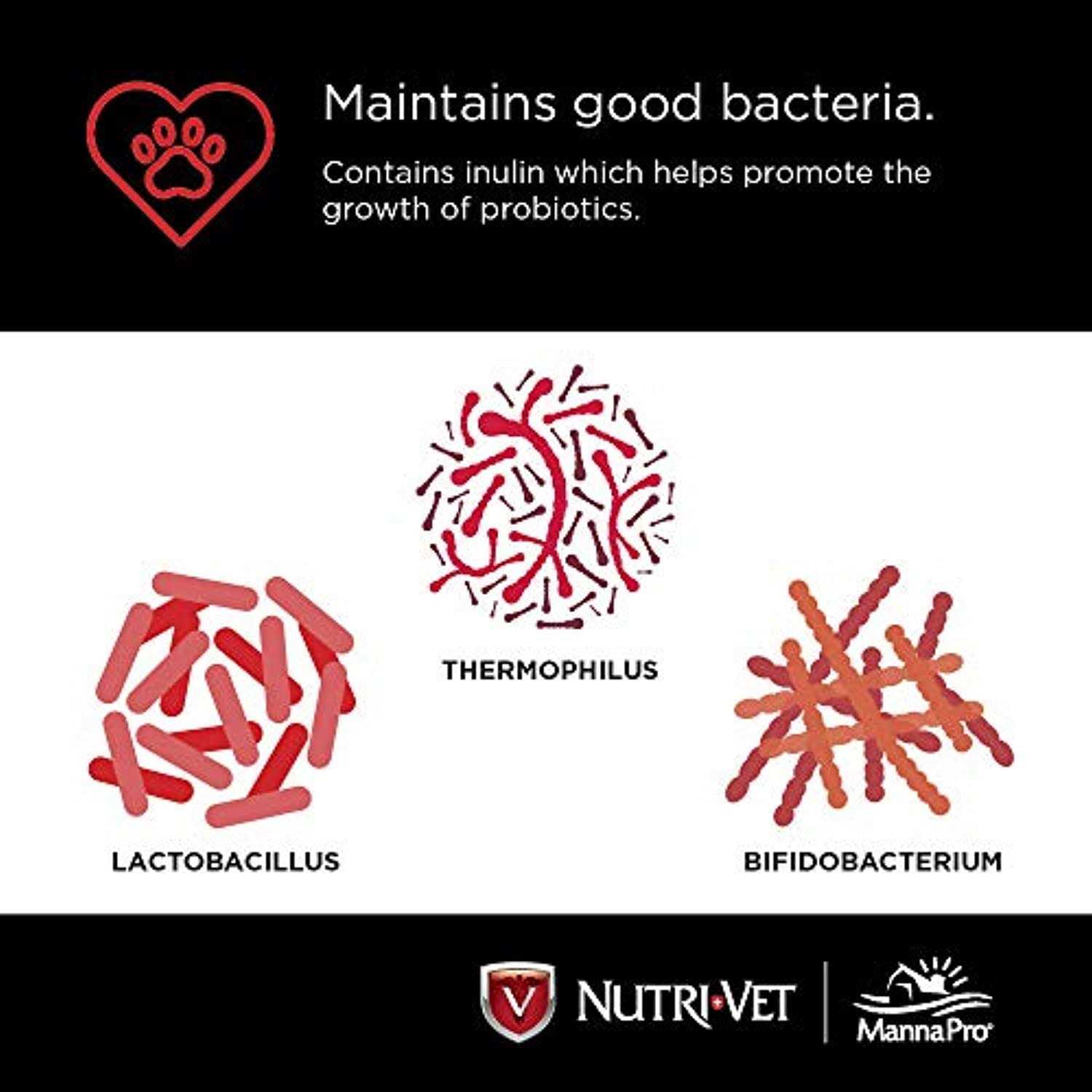 Nutri-Vet Probiotics for Dogs