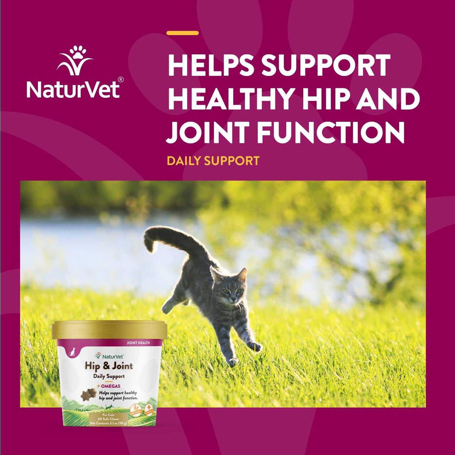 NaturVet Hip & Joint Plus Omegas Soft Chews Cat Supplement