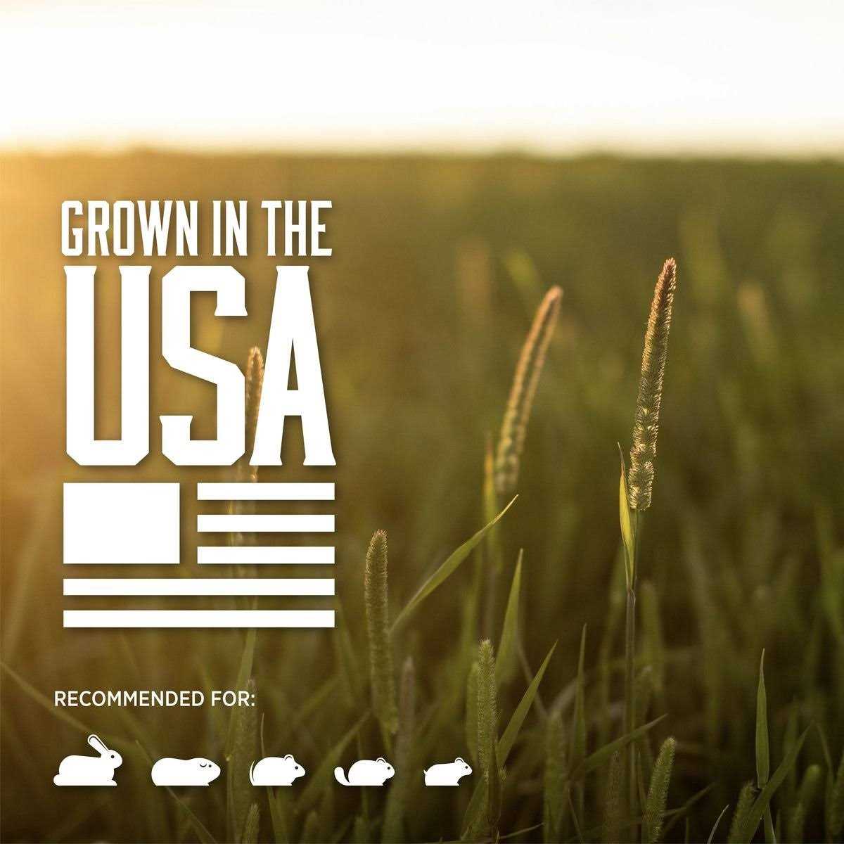 Standlee PremiYum Western Timothy Hay Small Animal Food