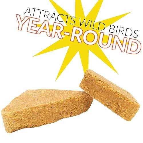 C&S Woodpecker Delight No-Melt Suet Dough