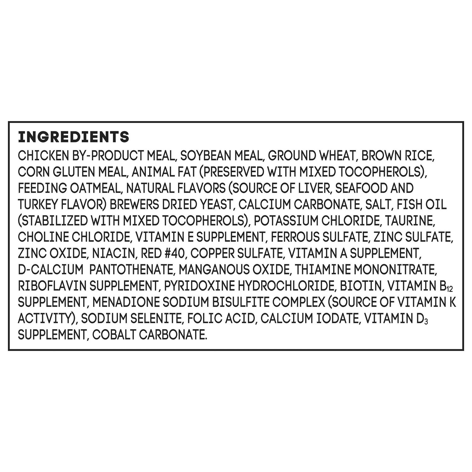 Special Kitty Kitten Formula Dry Cat Food