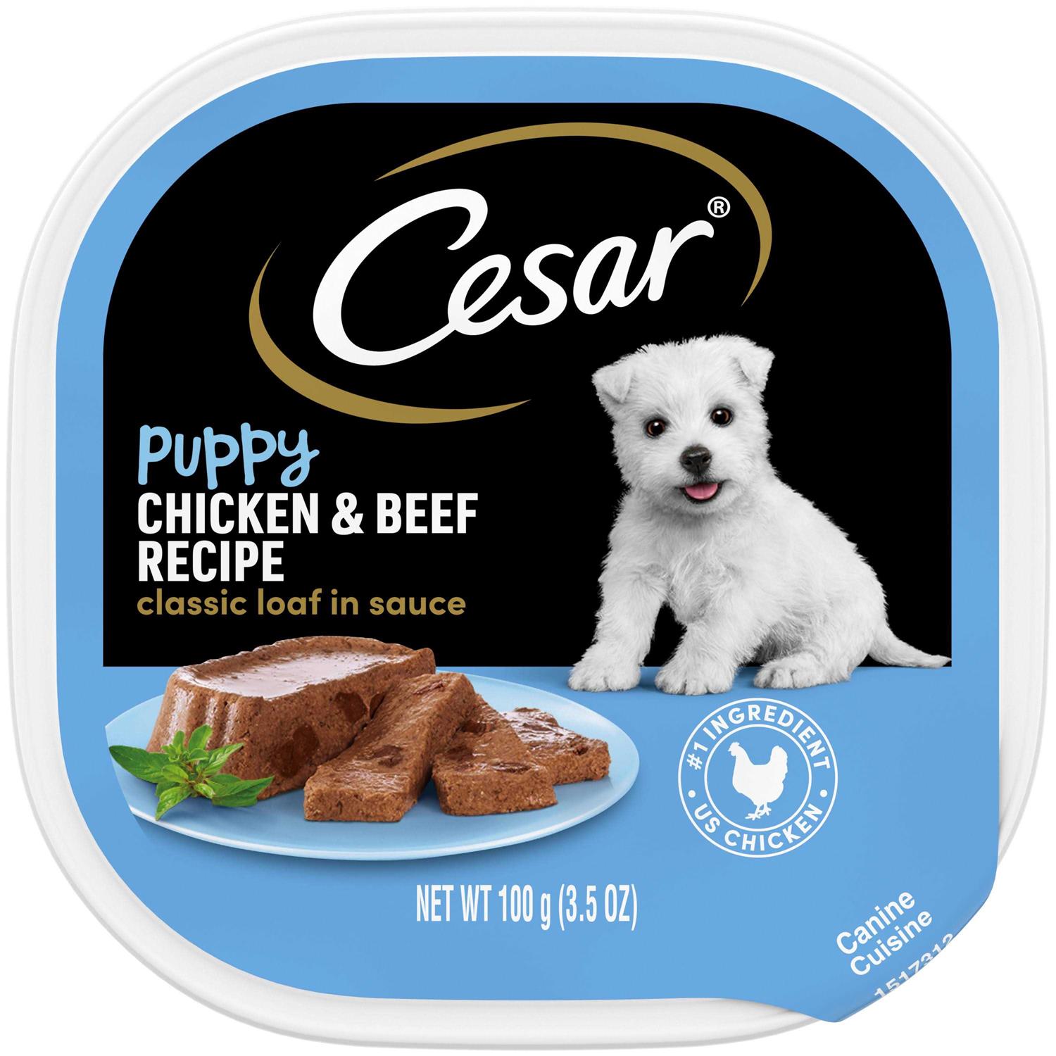 Cesar Classic Loaf in Sauce Wet Dog Food Chicken & Beef Recipe Puppy