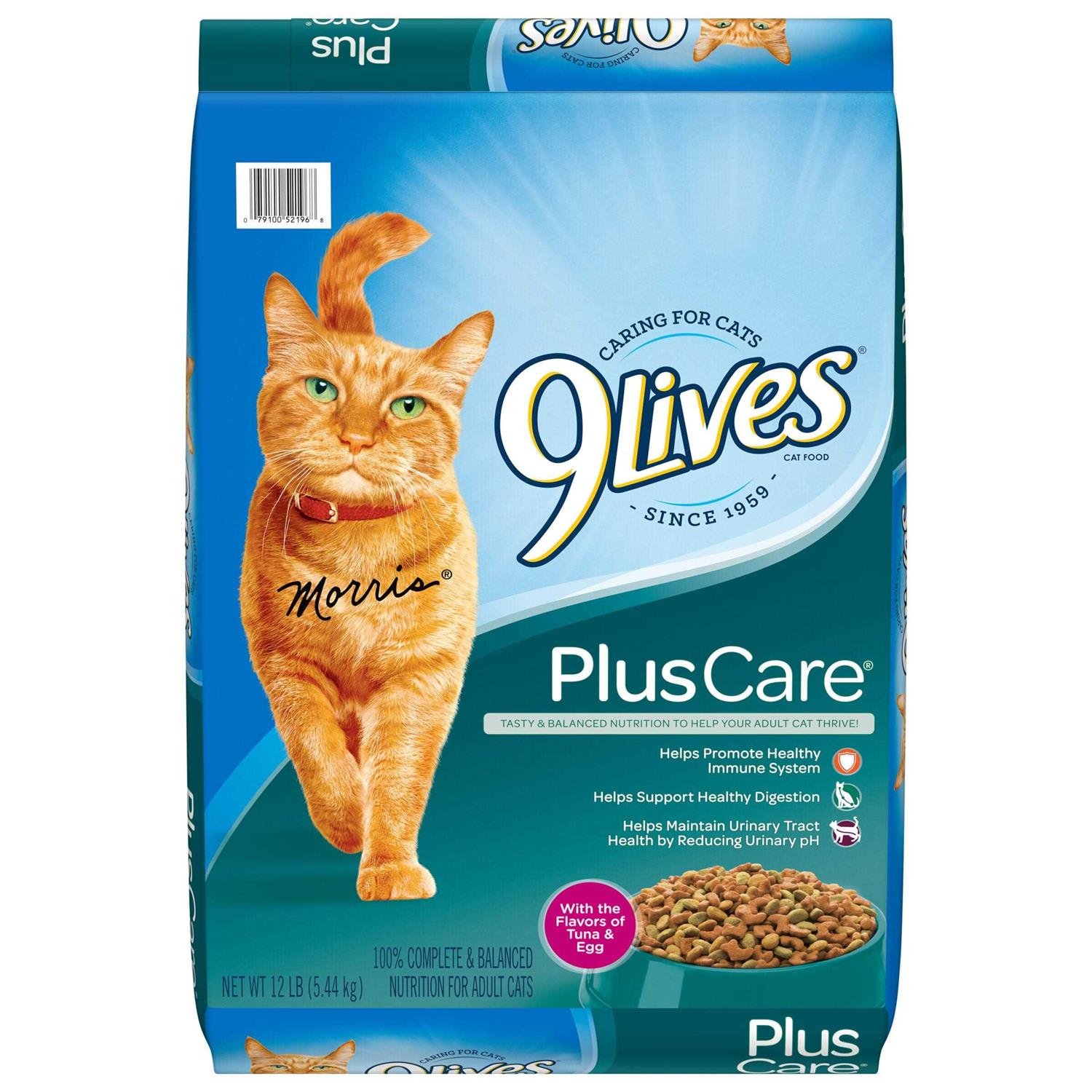 9Lives Plus Care Dry Cat Food