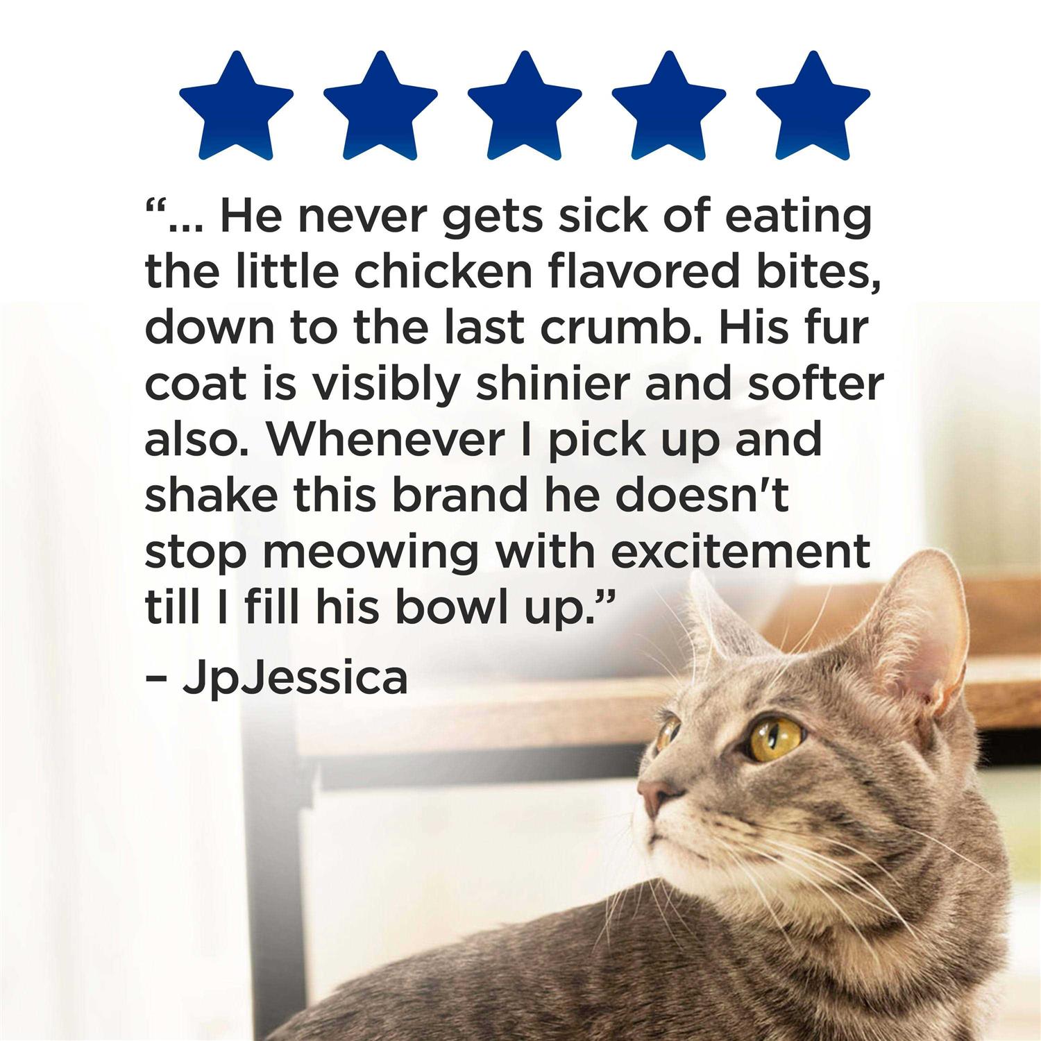 Purina Cat Chow Complete Dry Cat Food