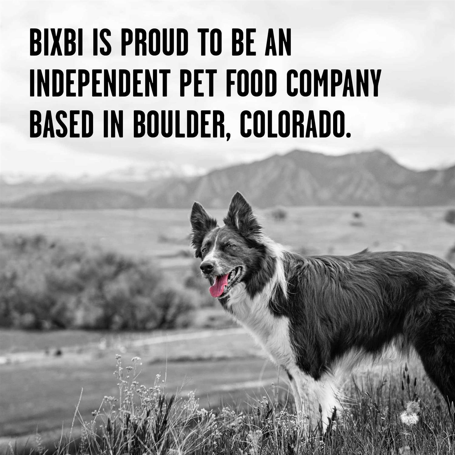 Bixbi Rawbble Dry Dog Food