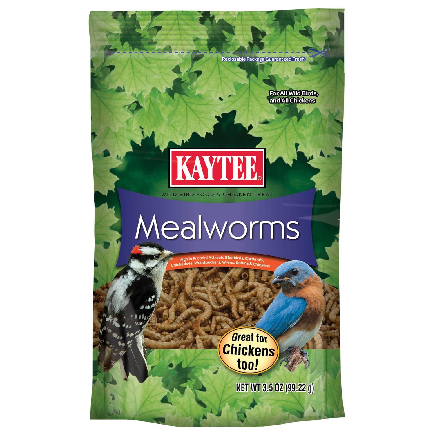 Kaytee Mealworms Bird Food