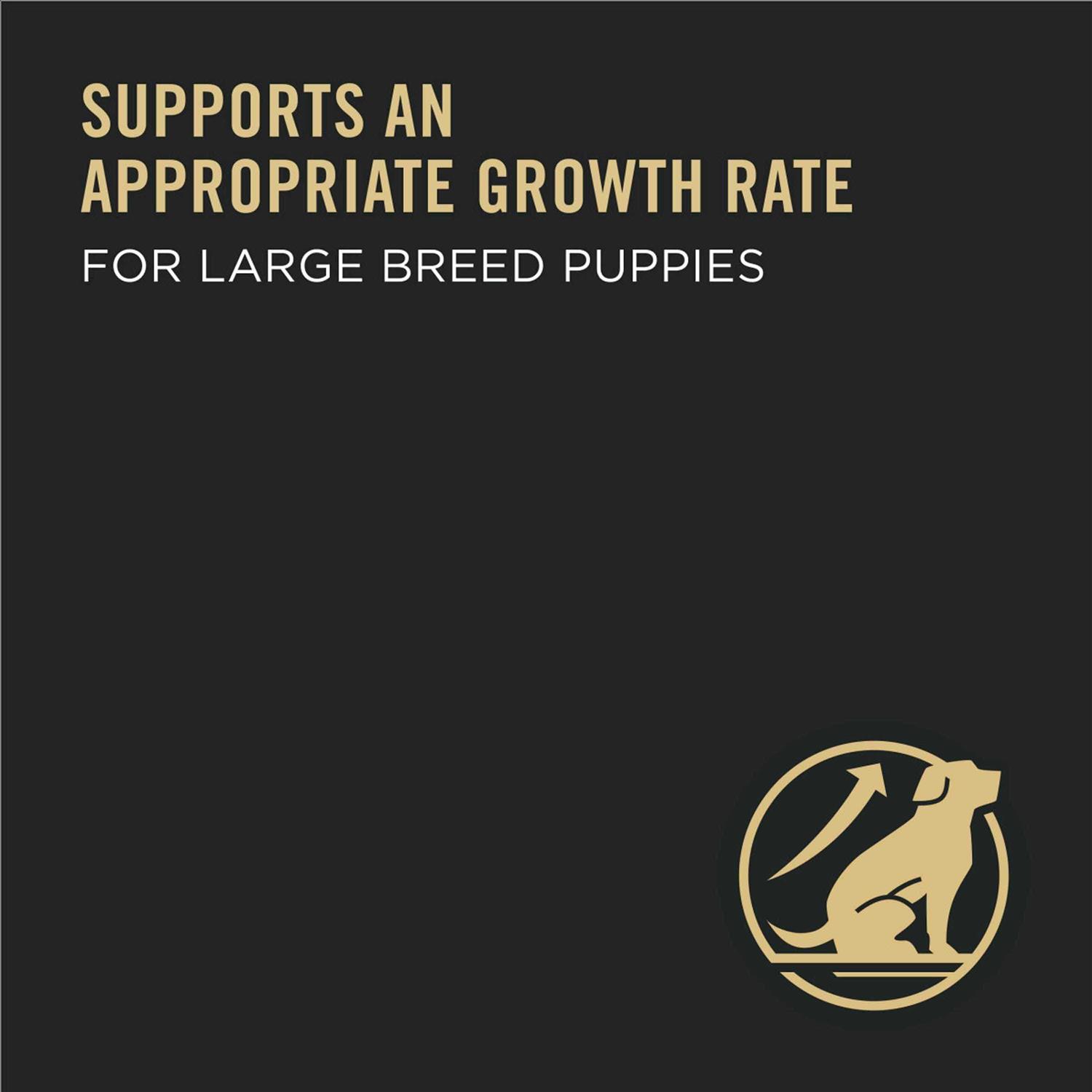 Purina Pro Plan Chicken & Rice Formula Large Breed Dry Puppy Food