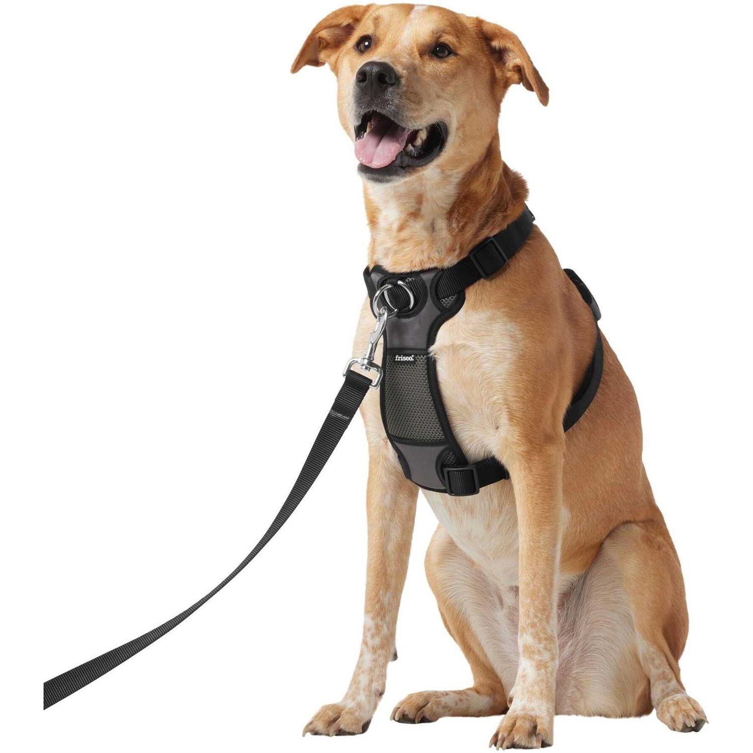 Frisco Padded Nylon No Pull Dog Harness