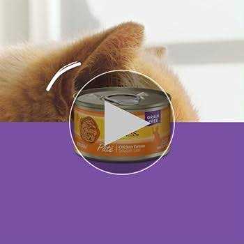 Wellness Complete Health Seafood Pate Favorites Variety Pack Wet Adult Cat Food