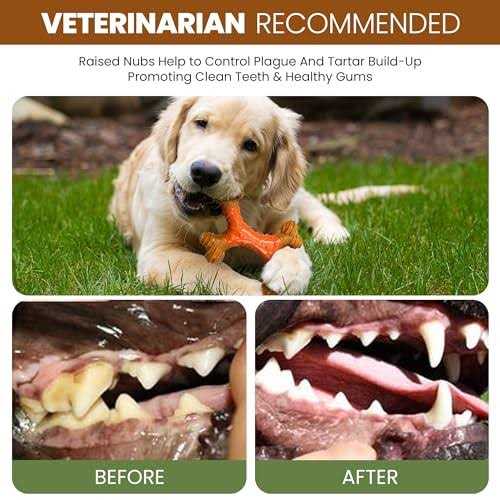 Ethical Spot Bambone Dental X Bone Peanut Butter