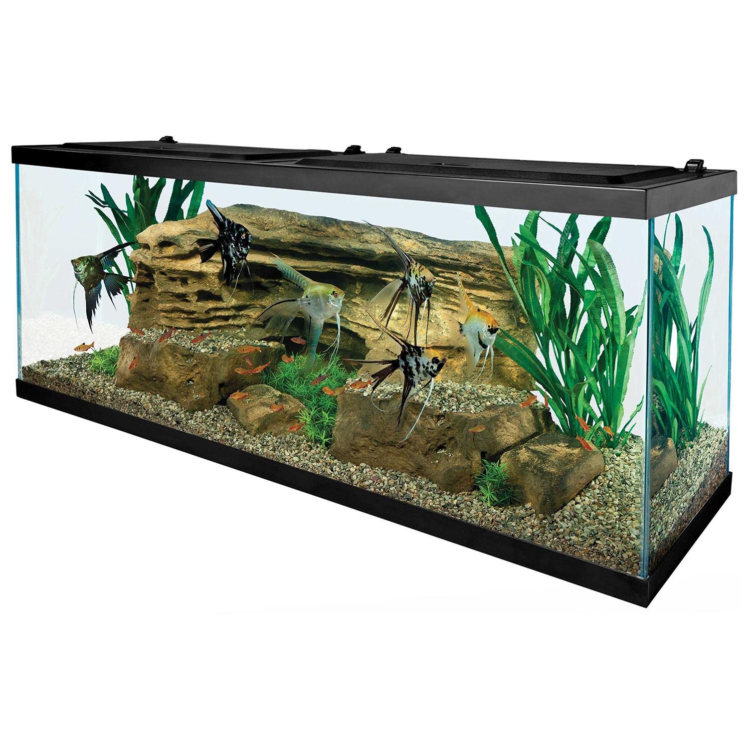 Tetra 55-Gallon Starter Aquarium with Net