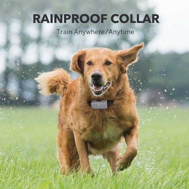 DogCare EC11 Dog Training System