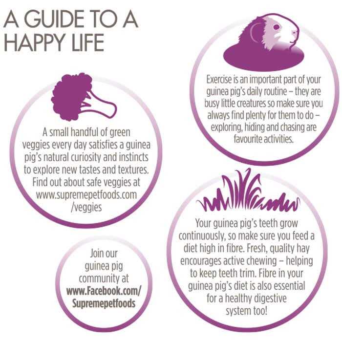 Science Selective Grain Free Guinea Pig Food