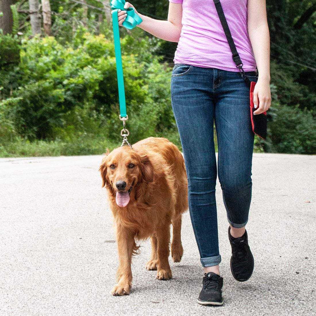 Herm Sprenger Ultra-Plus Dog Prong Training Collar