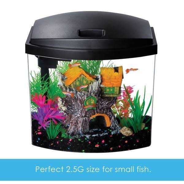 Interpet 2.5 Aquatic Starter Kit