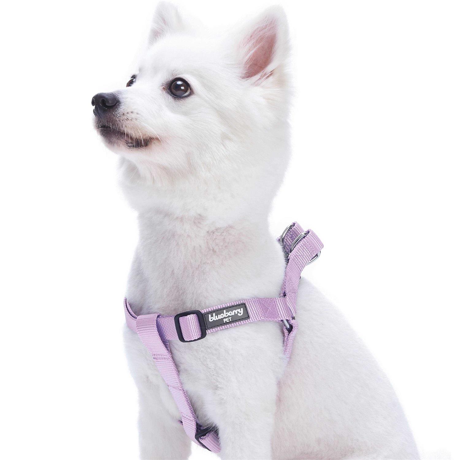 Blueberry Pet Essentials Classic Durable Solid Nylon Step-In Dog Harness
