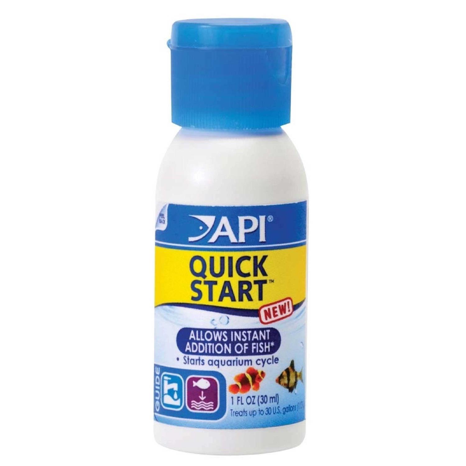 API Quick Start