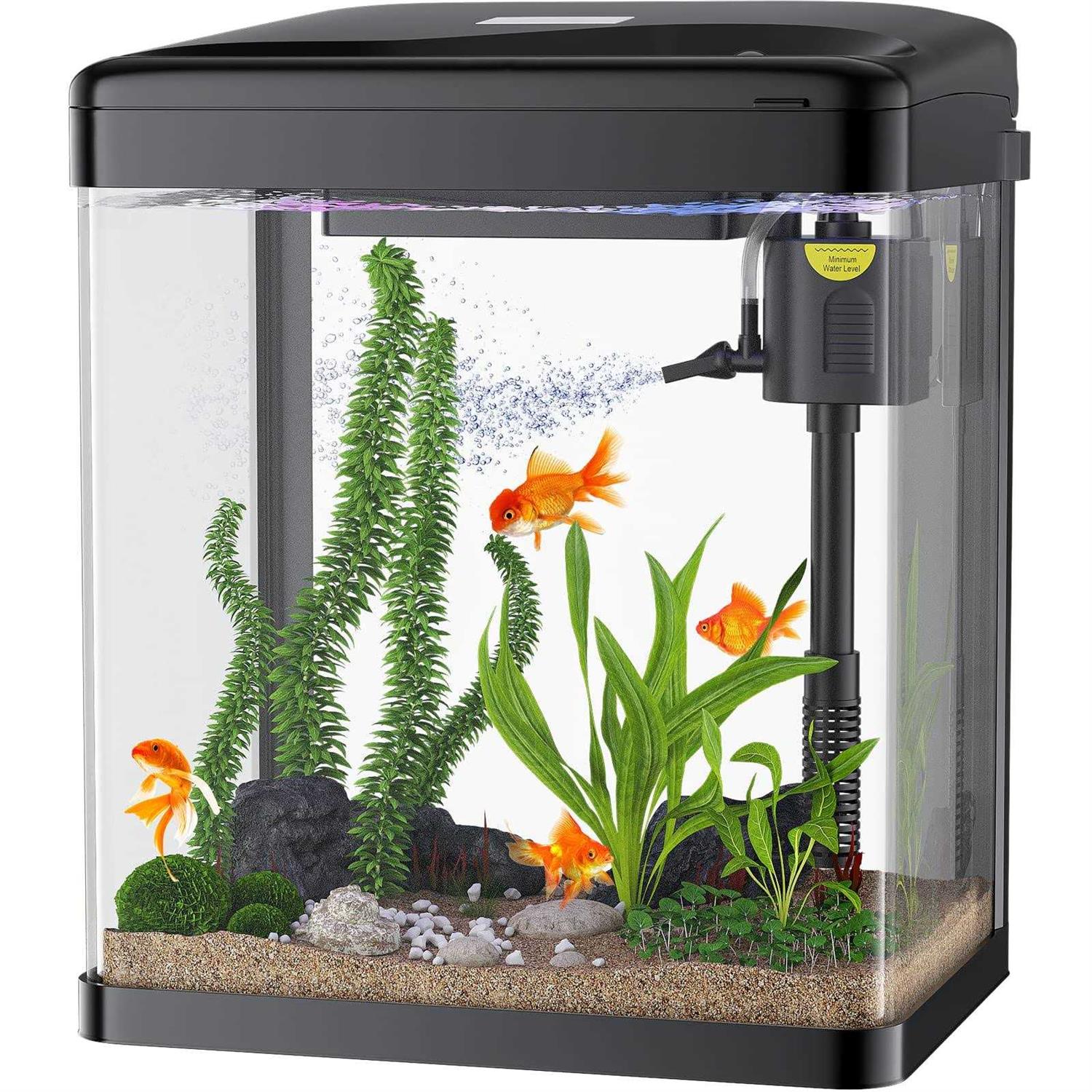 PONDON Betta Fish Tank, 2 Gallon Glass Aquarium, 3 in 1 Fish Tank with Filter and Light