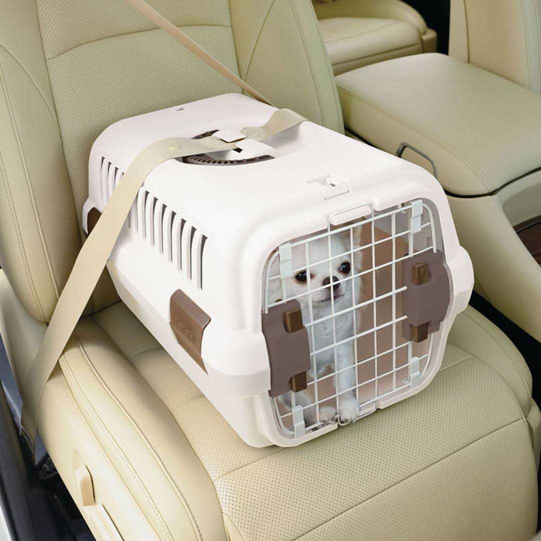 Richell Pet Travel Carrier