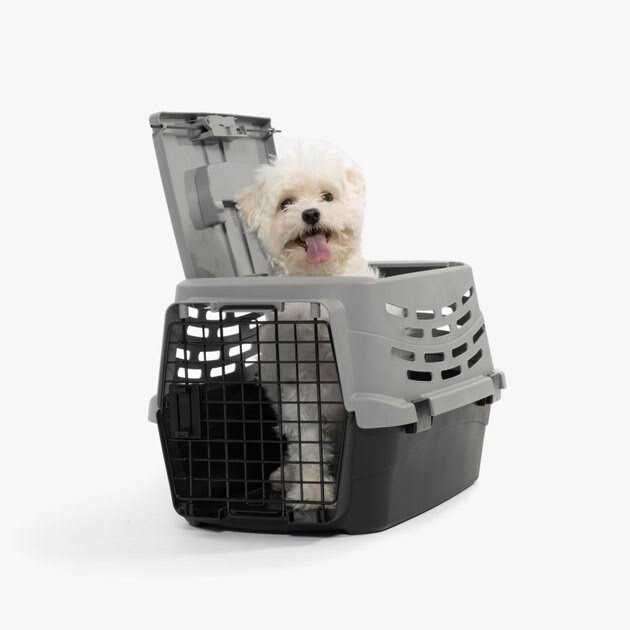 IRIS USA Small Pet Travel Carrier with Front and Top Access