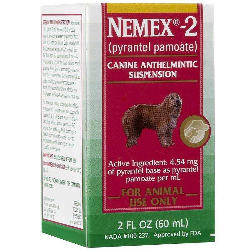 Nemex 2