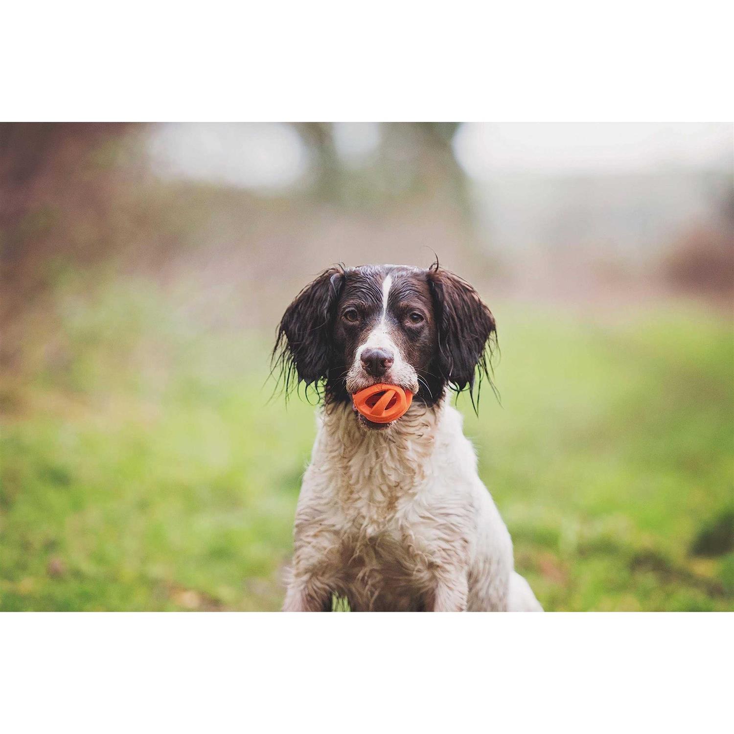 Chuckit! Breathe Right Fetch Ball