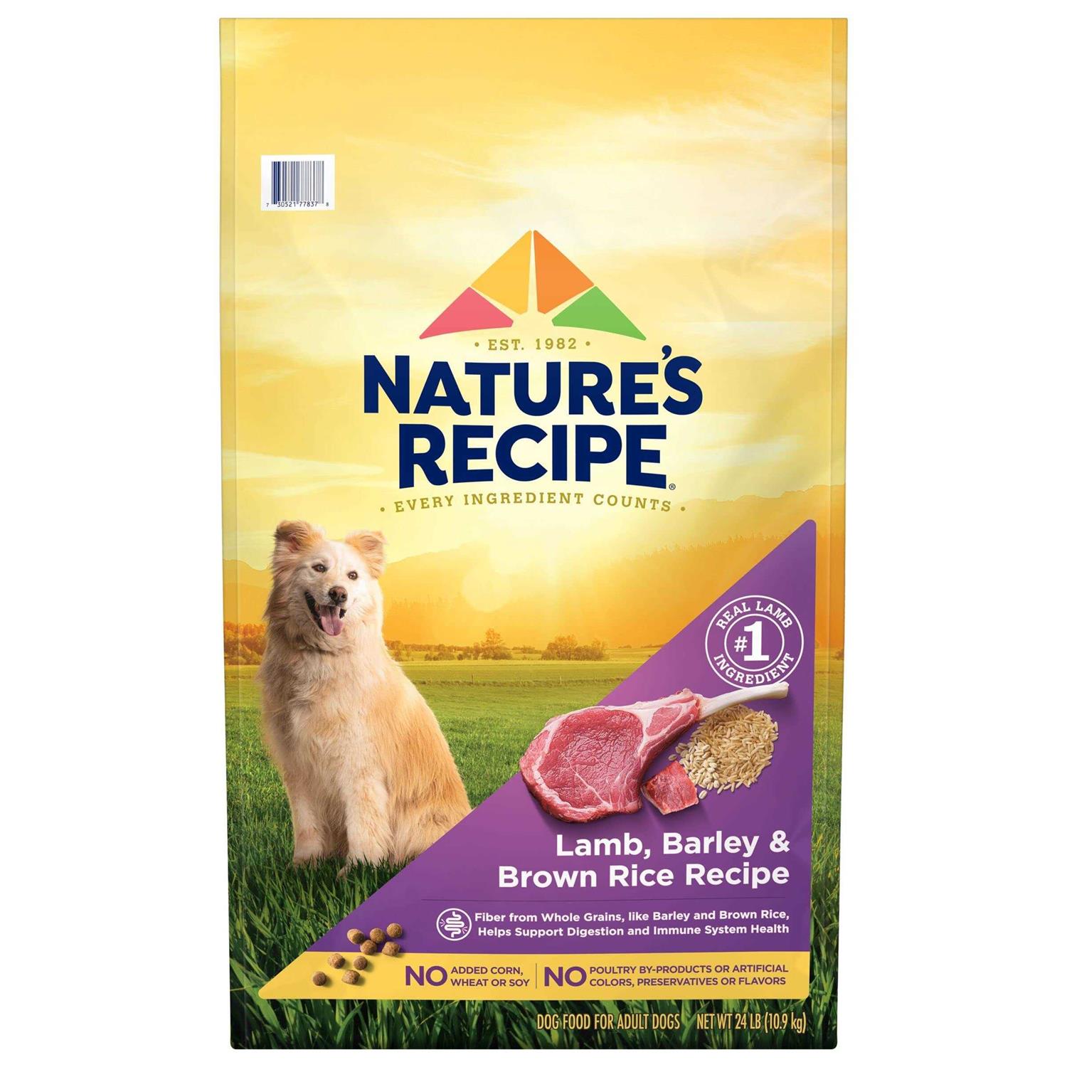 Nature’s Recipe Adult Dry Dog Food