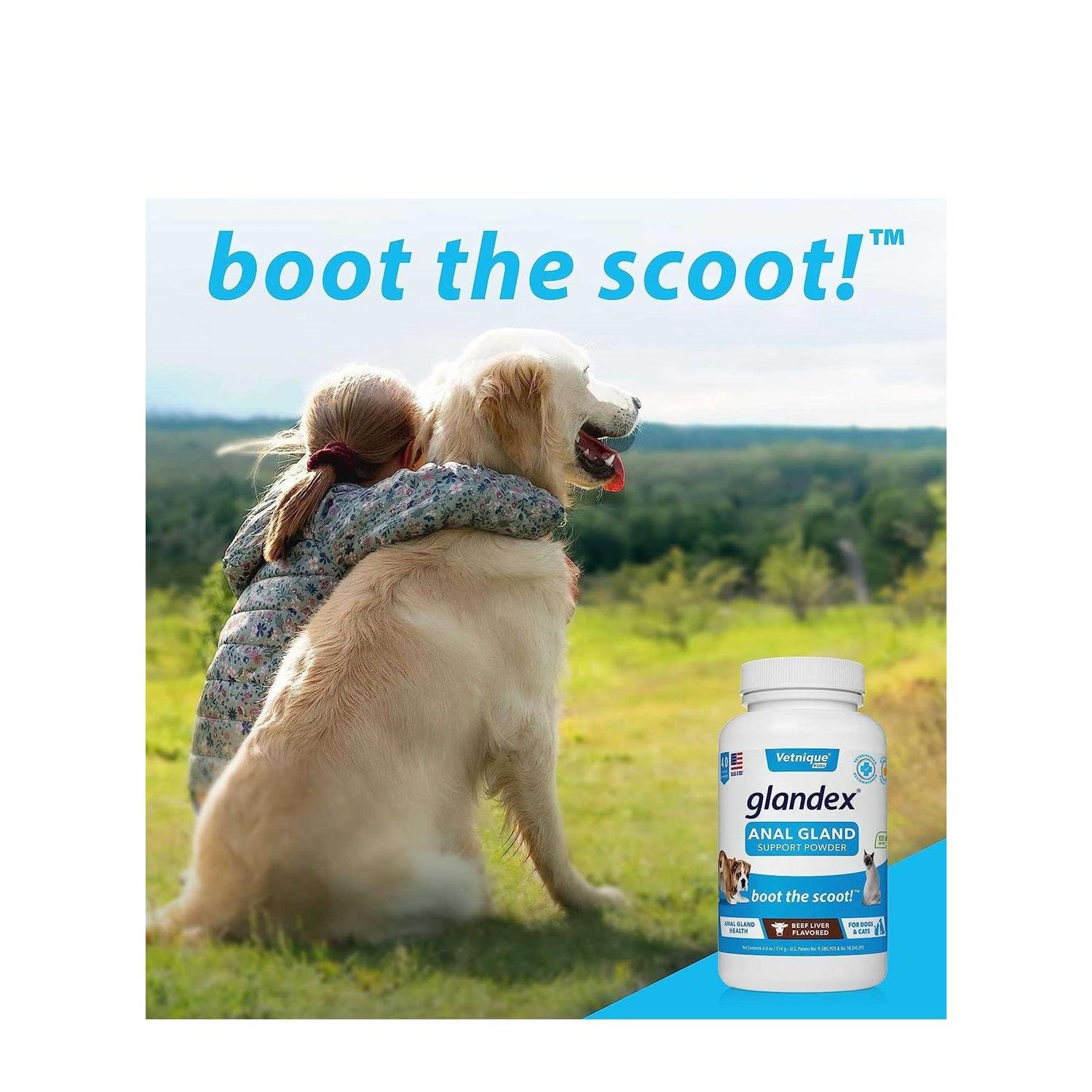 Glandex Anal Gland Support Powder for Dogs & Cats