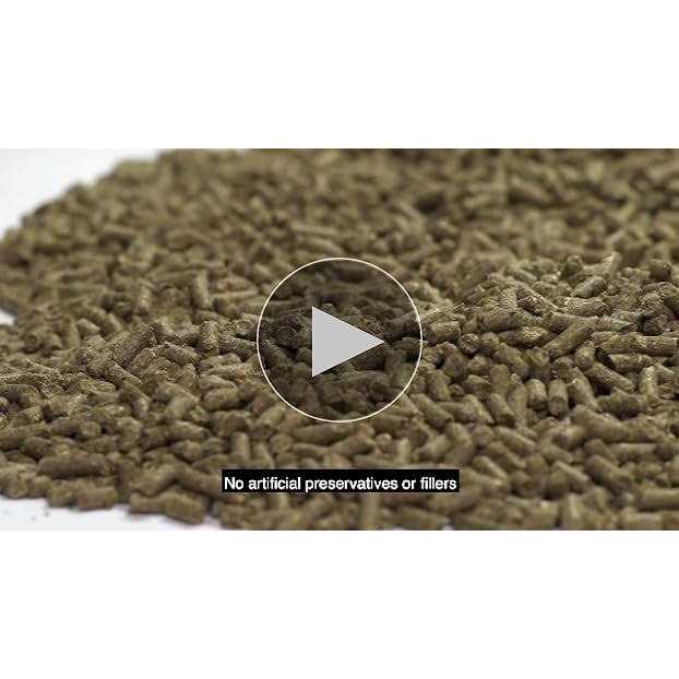 Kaytee Timothy Complete Rabbit Food