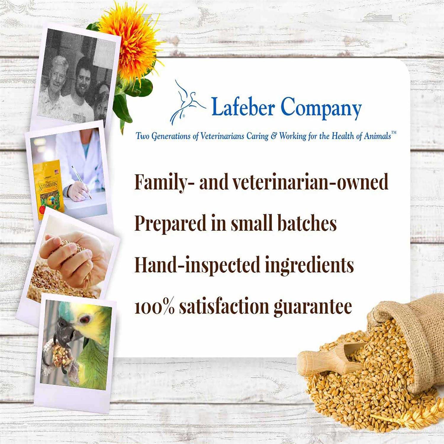 Lafeber Classic Nutri Berries Food