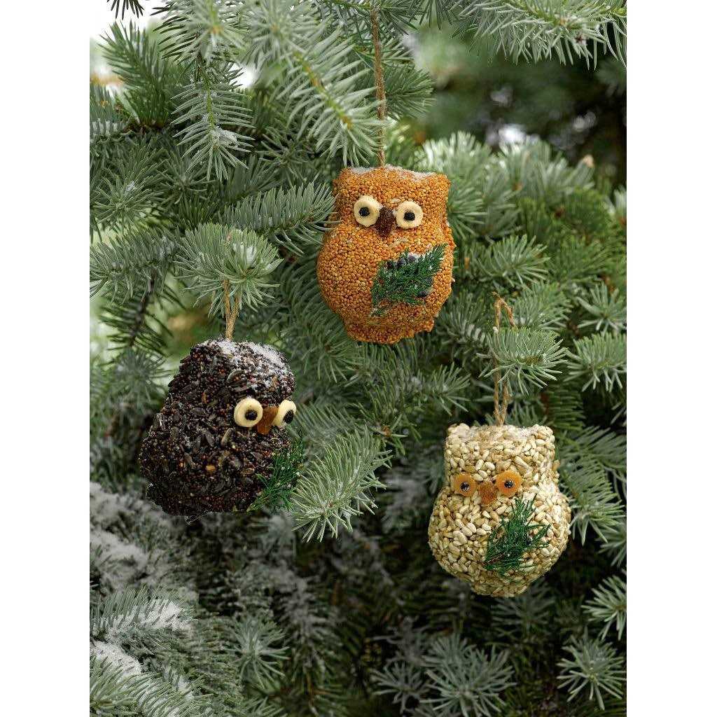 Mr. Bird Ollie Owl Bird Seed Ornaments