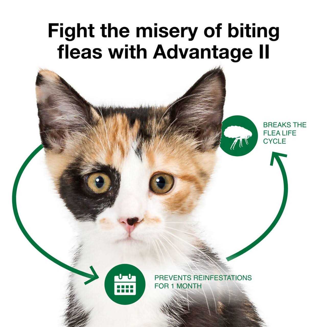 Advantage II Flea Treatment Cats