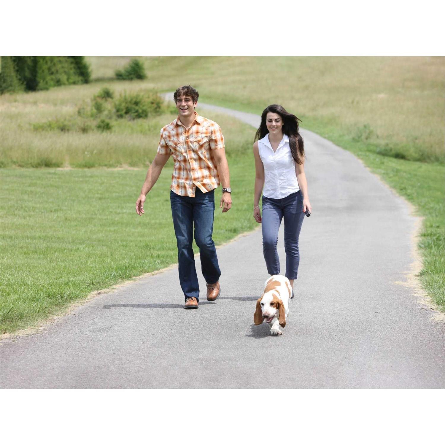 PetSafe Collarless Ultrasonic Remote Dog Trainer