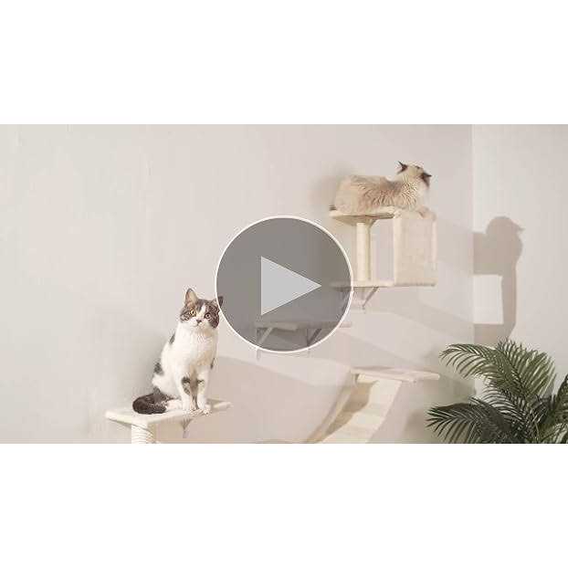 Modern Wall-Mounted Cat Furniture 5pcs Cat Wall Shelves Wooden Cat Climber Cat House, Bridge, Tree, Steps, and Scratcher