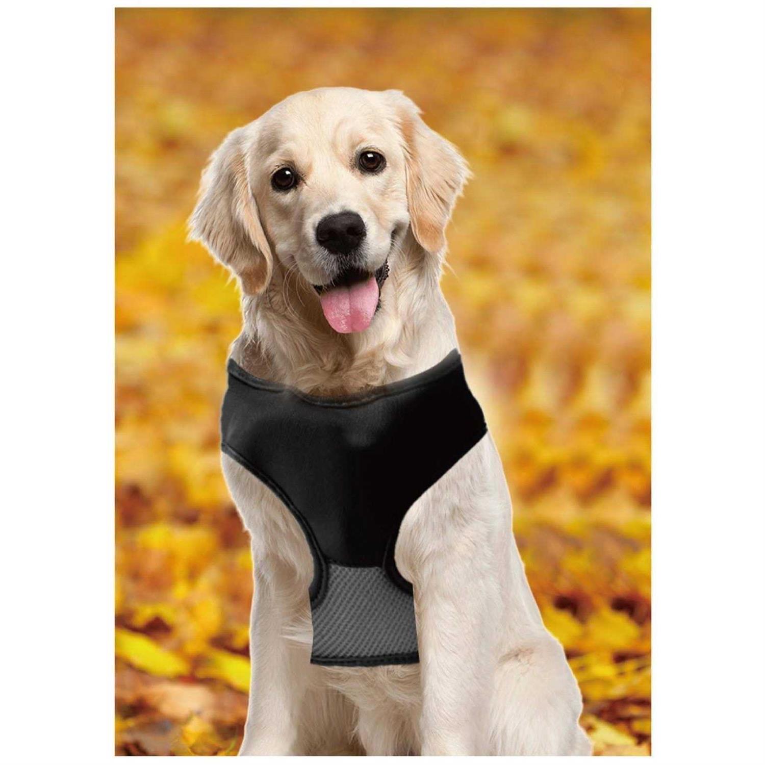 As Seen on TV Lucky Leash Magnetic Harness & Retractable Leash
