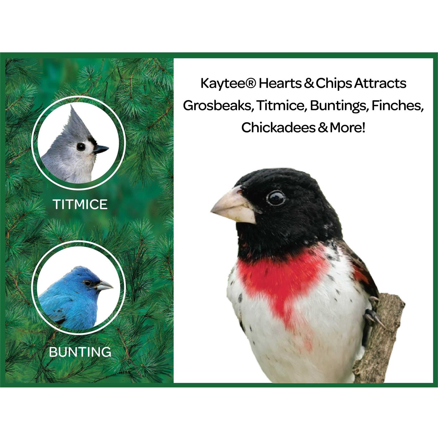 Kaytee Sunflower Hearts & Chips Wild Bird Food