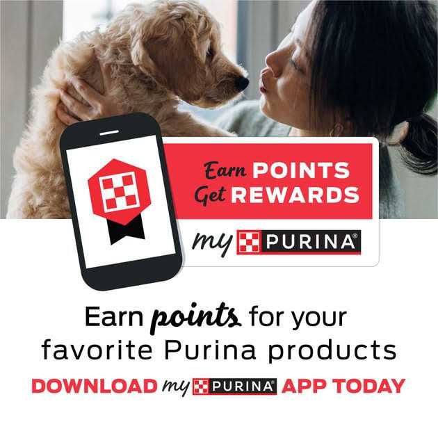 Purina Pro Plan Veterinary Diets EN Gastroenteric Feline Formula Wet Cat Food