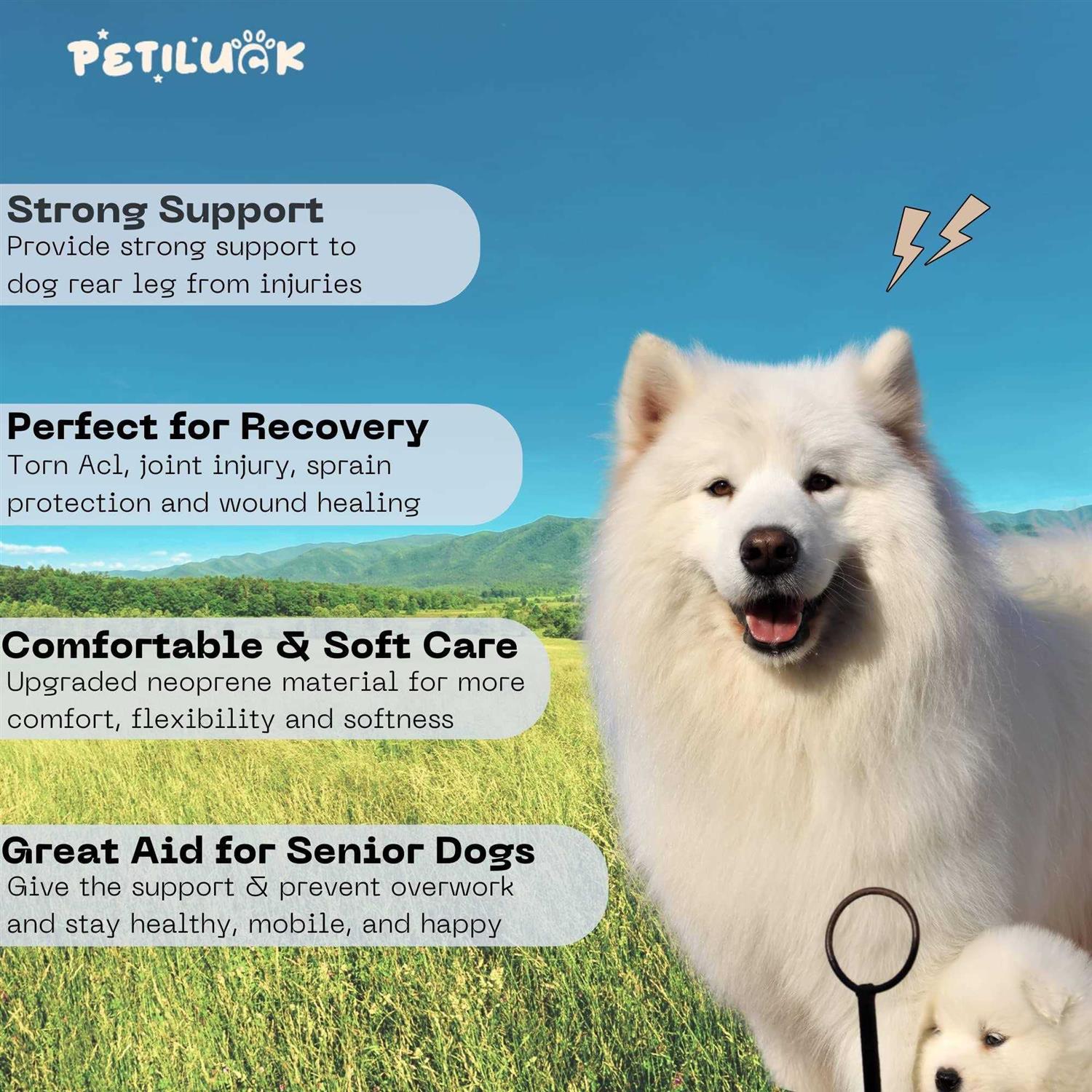 PETILUCK Waterproof Dog Leg Braces for Back Leg Canine Rear Leg Hock Joint Wrap Protects for Dogs with Torn Acl, Sprain Protection and Wound Healing
