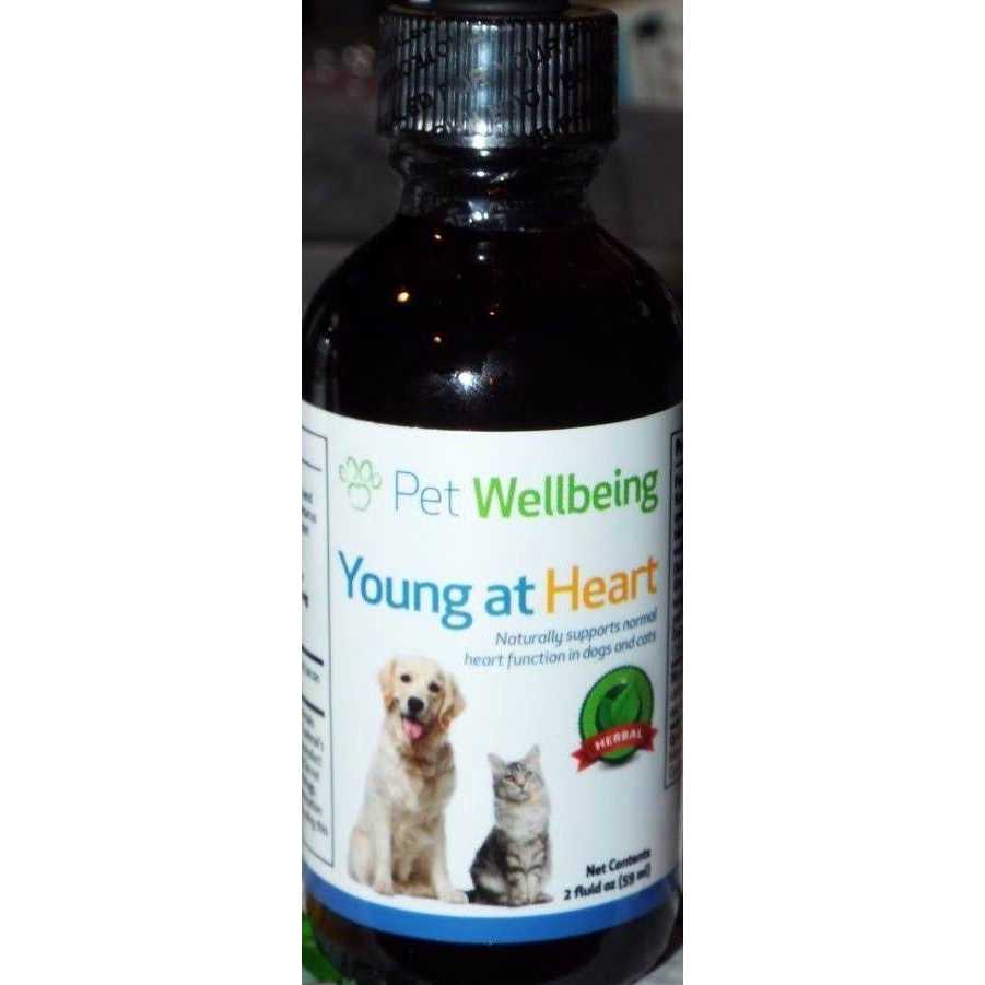 Pet Wellbeing Young at Heart for Cats