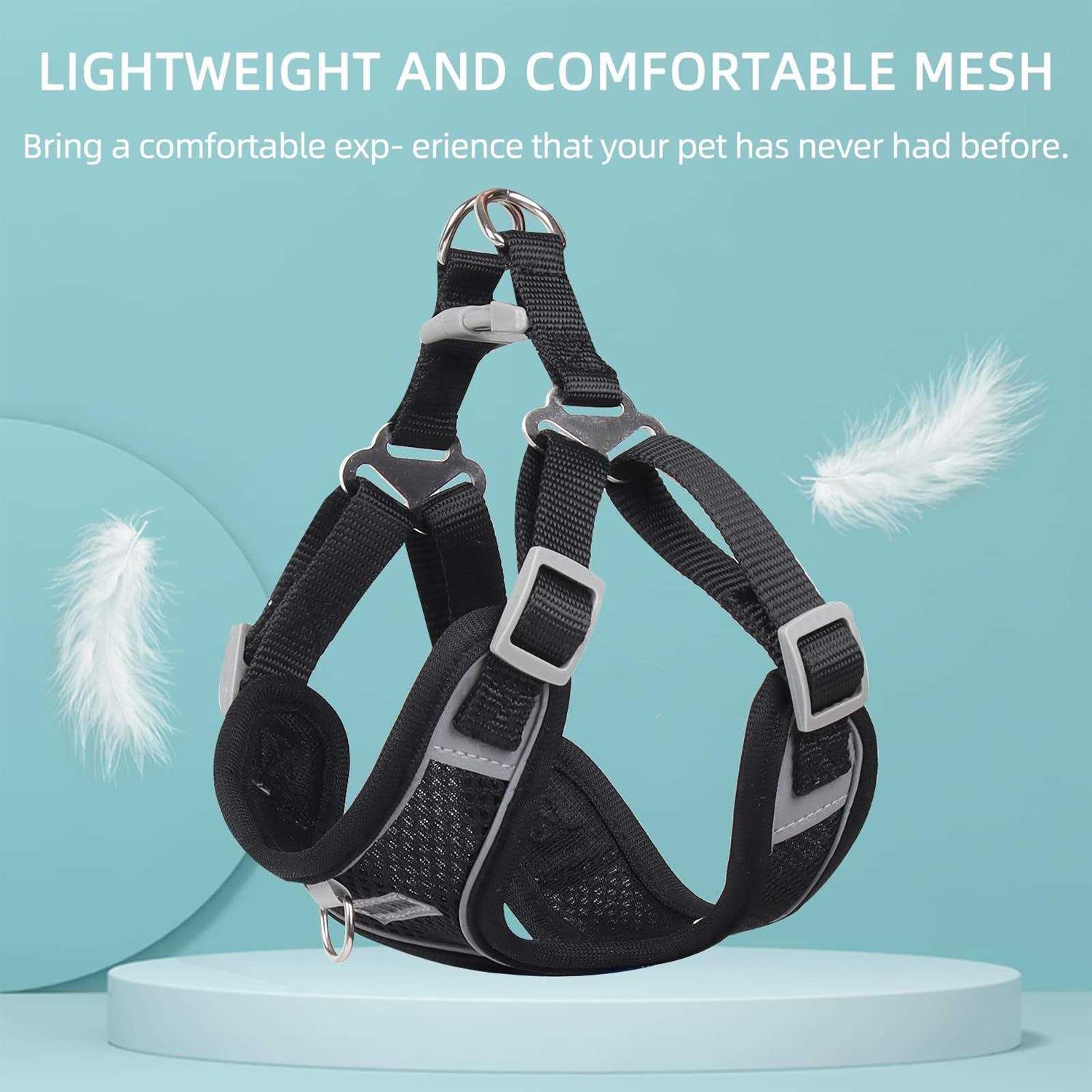 rennaio Dog Harness No Pull, Adjustable Puppy Harness with 2 Leash Clips, Ultra Padded Dog Vest Harness, Reflective Dog Harness and Leash