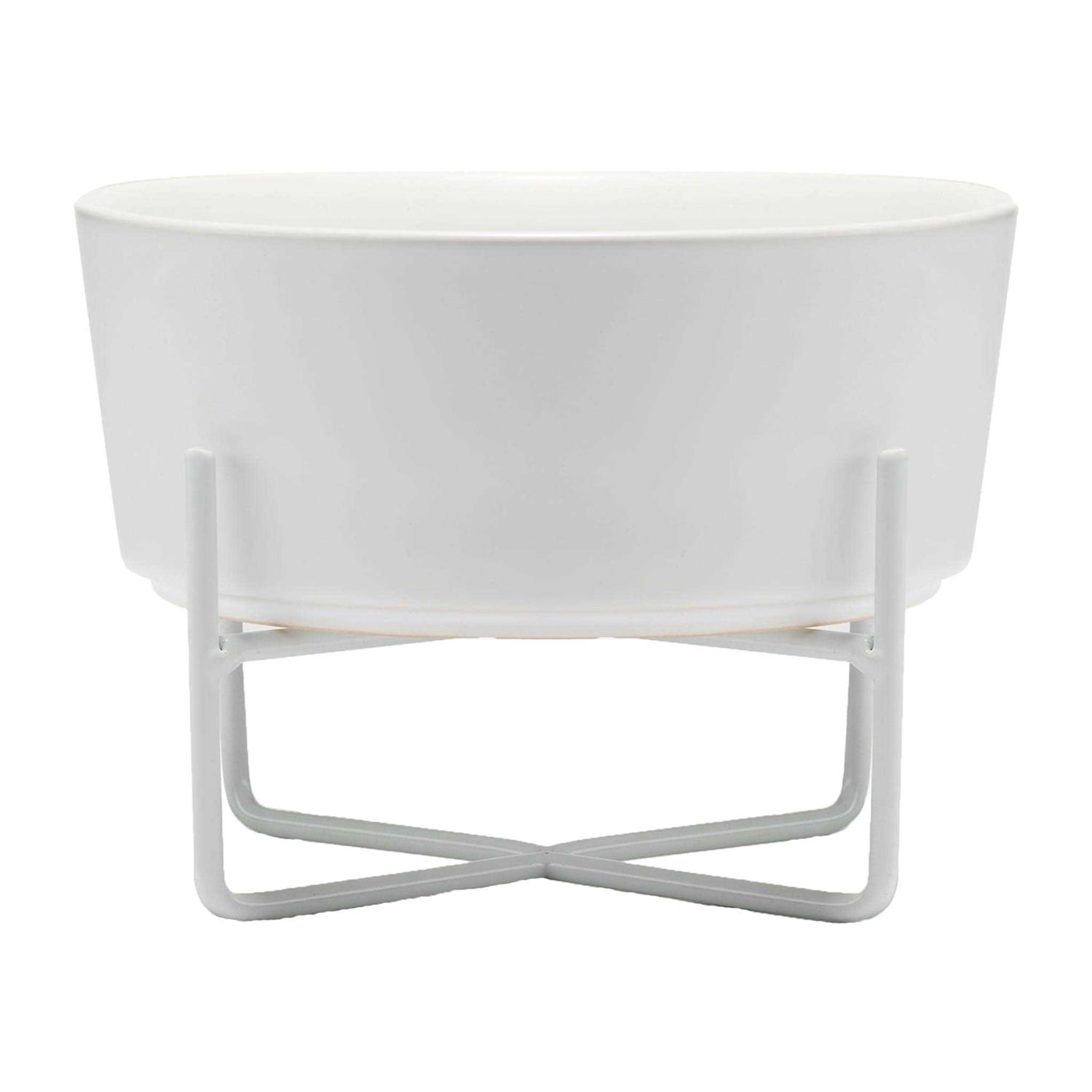 Waggo Simple Solid Bowl + Dog Bowl Stand