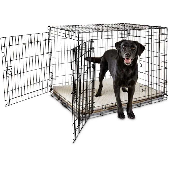 EveryYay Going Places 2-Door Folding Dog Crate
