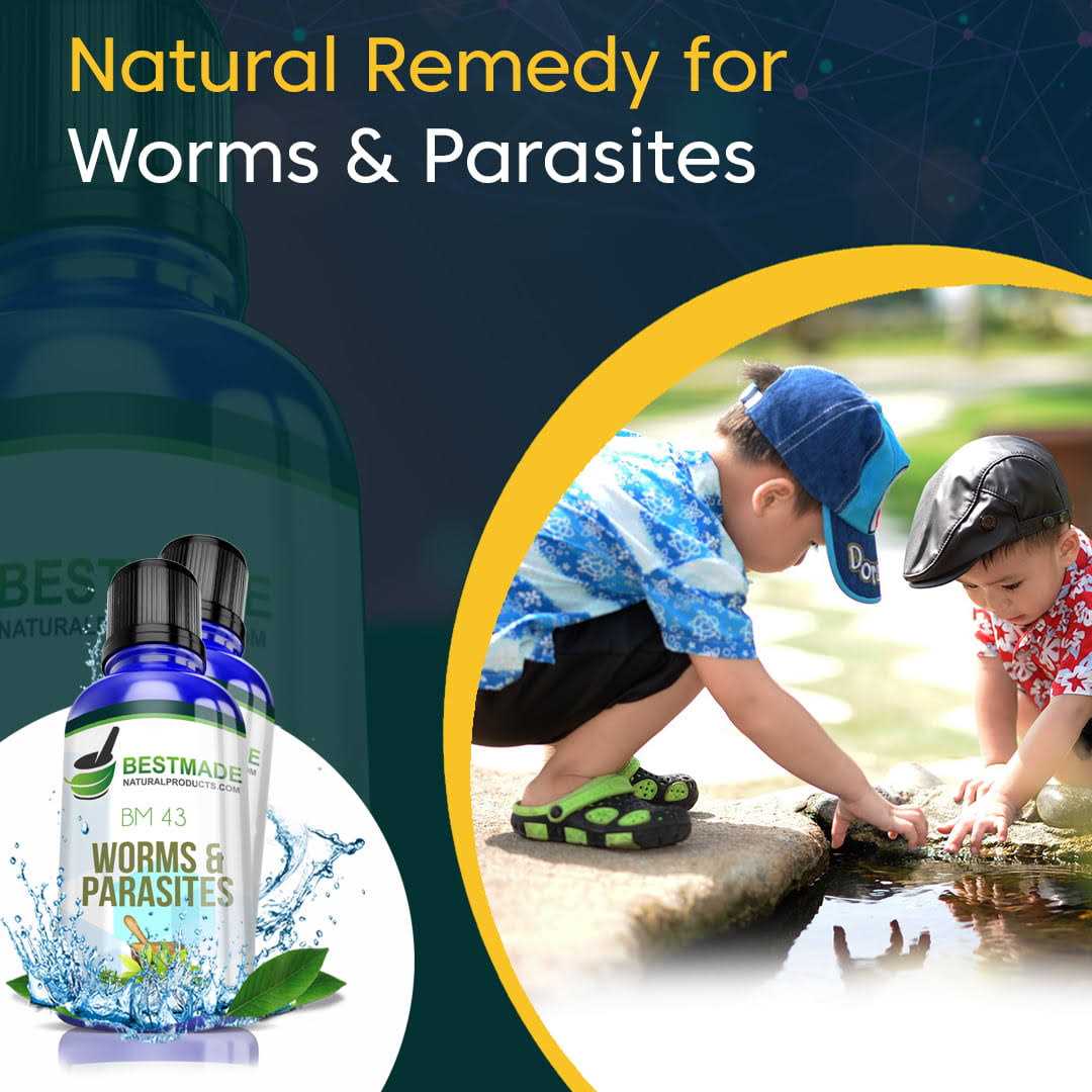 Bestmade Natural Products Worms and Parasites Remedy for Humans Bm43