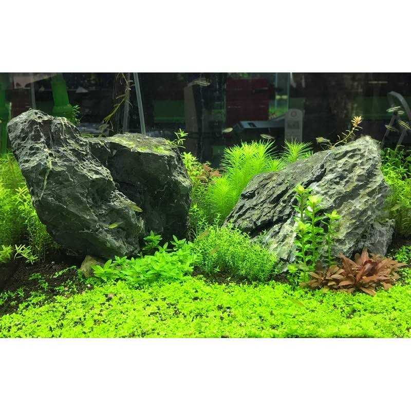 Flourish Potassium Seachem