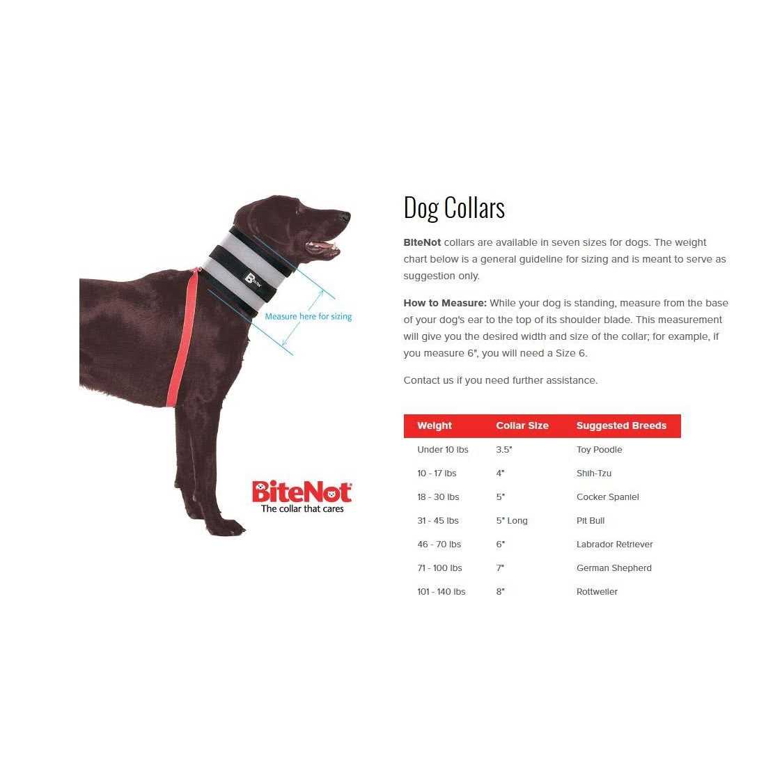 BiteNot Collar