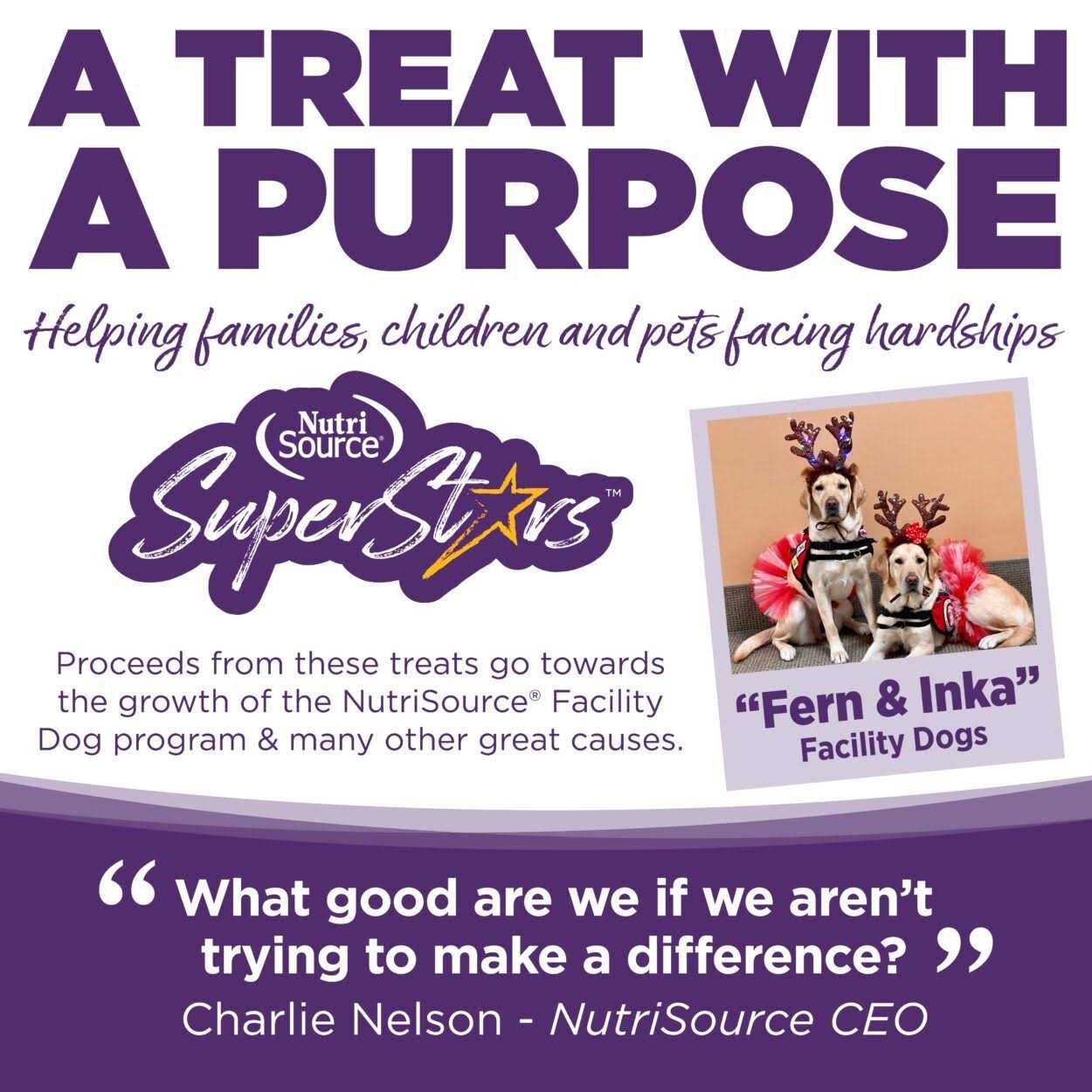 NutriSource SuperStars Bacon Dog Training Treats