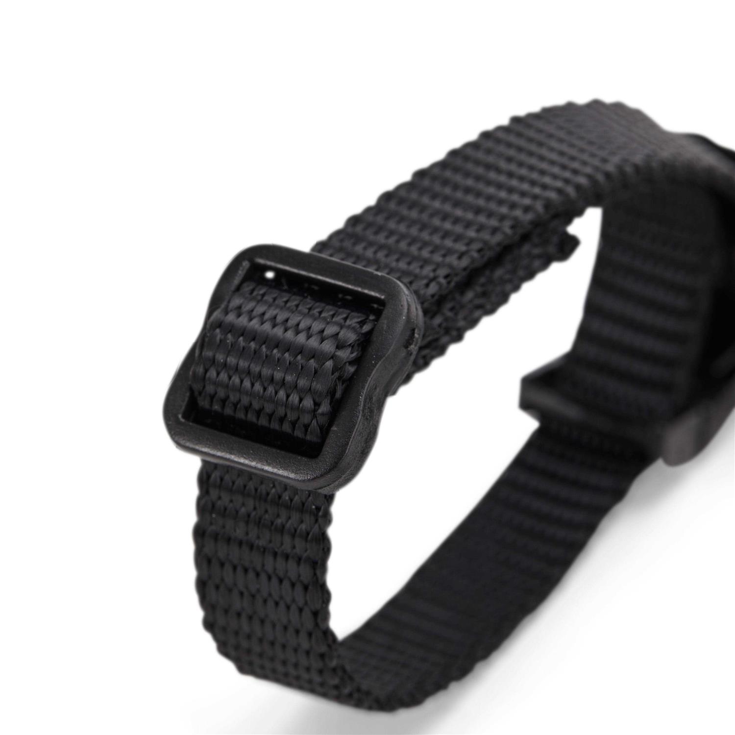 EveryYay Assorted Ferret Harness & Lead